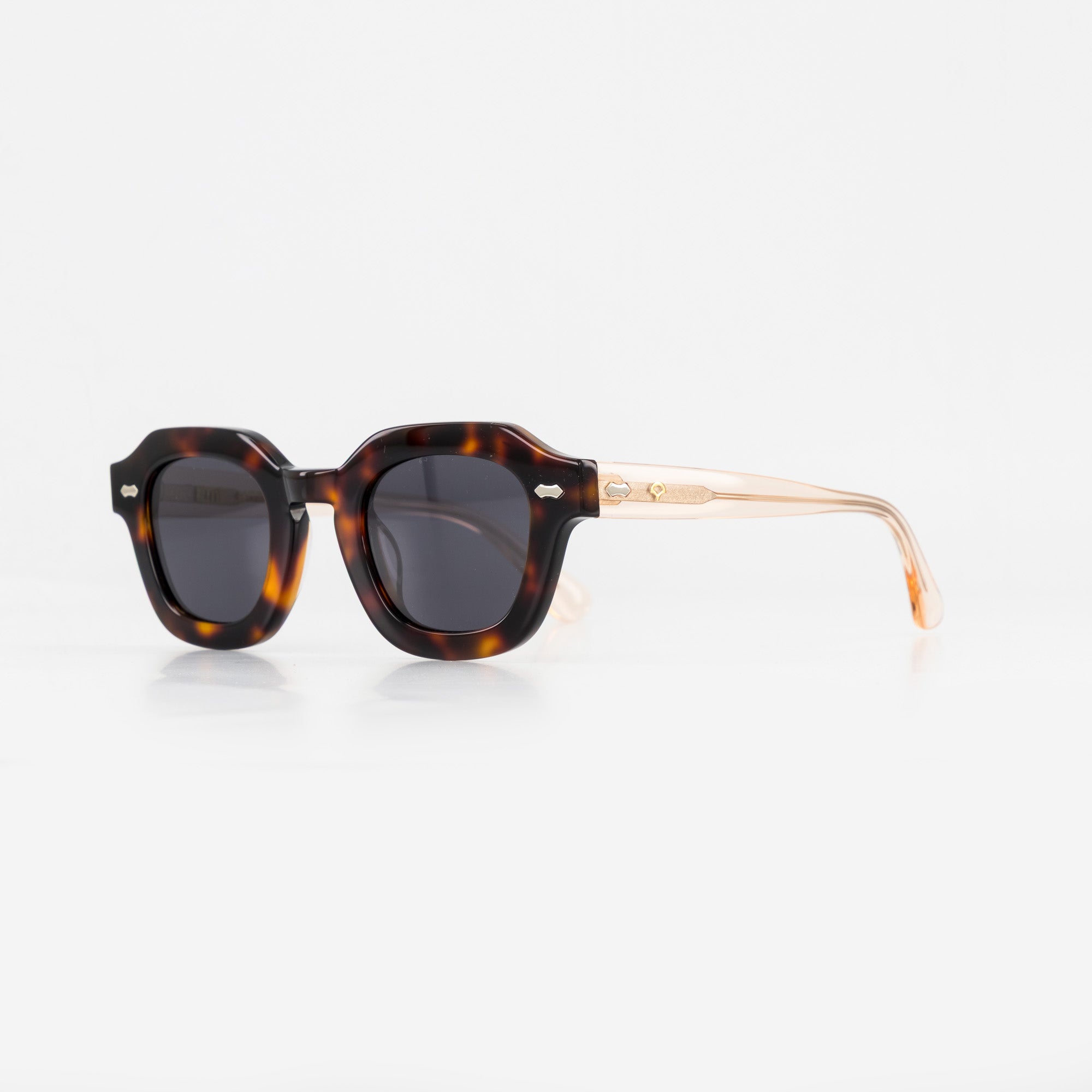 Emi / Bio-Acetate / Tortoise - Polarized