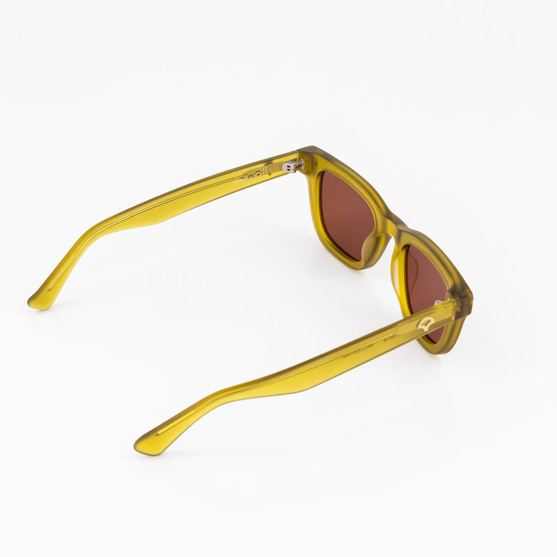 Barnes / Bio-Acetate / Matte Kelp - UV400