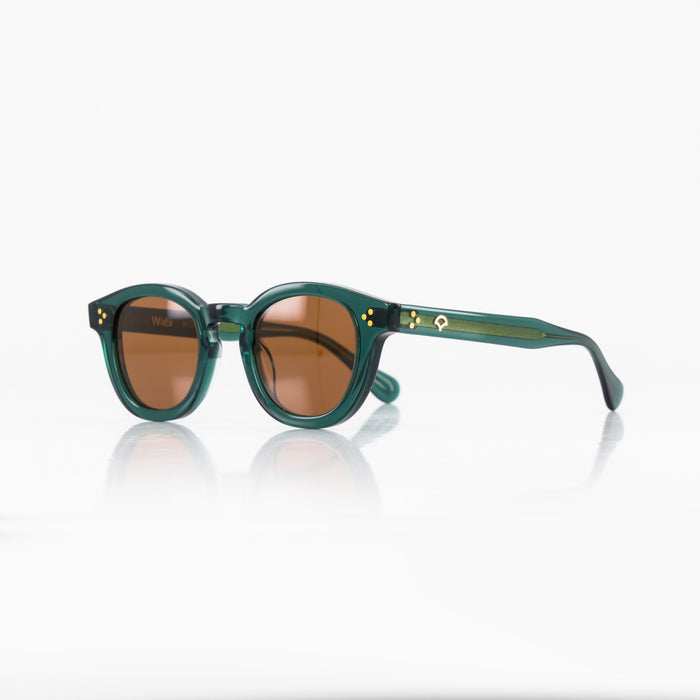 Wabi / Bio-Acetate / Codium - alternate view