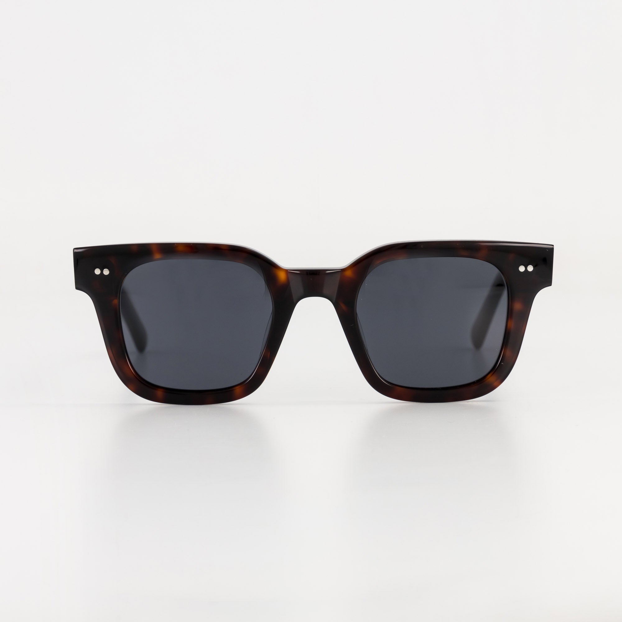 Rattle / Bio-Acetate / Tortoise - Polarized